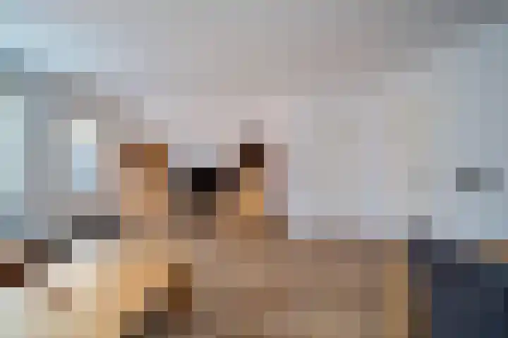 Cort van der Lindenstraat 4 Naaldwijk foto 3