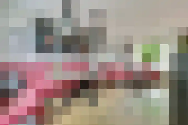 Cort van der Lindenstraat 41 Zutphen thumbnail 11
