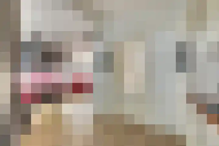 Cort van der Lindenstraat 41 Zutphen thumbnail 14