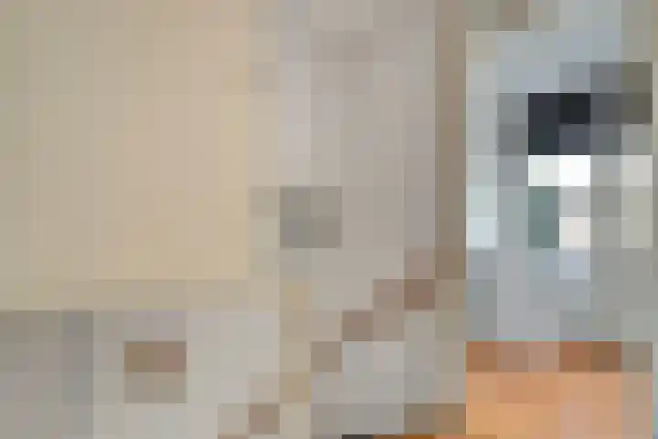 Cort van der Lindenstraat 41 Zutphen thumbnail 16
