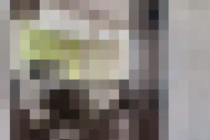 Cort van der Lindenstraat 41 Zutphen thumbnail 20