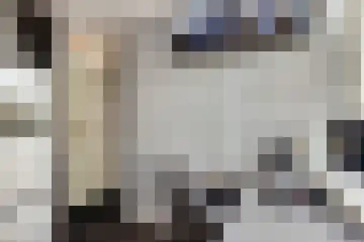 Cort van der Lindenstraat 41 Zutphen thumbnail 21