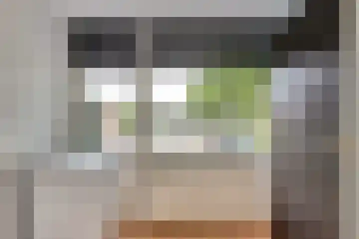 Cort van der Lindenstraat 41 Zutphen thumbnail 22