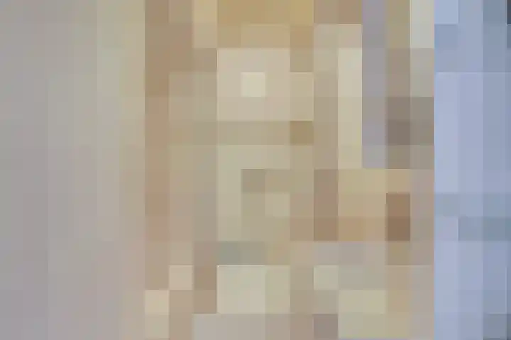 Cort van der Lindenstraat 41 Zutphen thumbnail 23