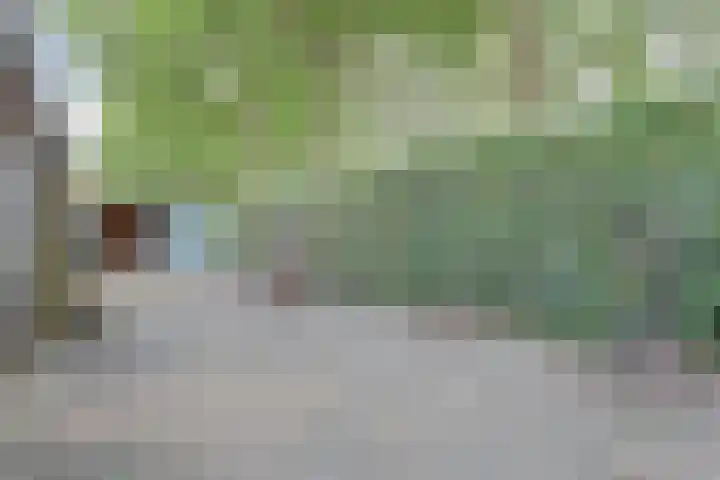 Cort van der Lindenstraat 41 Zutphen thumbnail 27