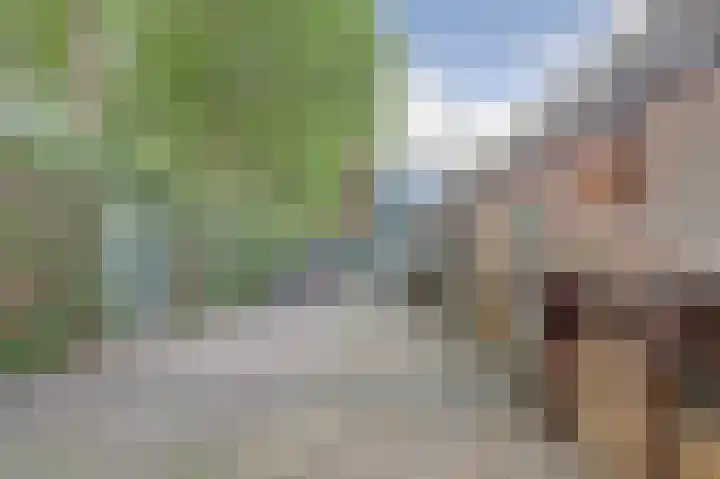 Cort van der Lindenstraat 41 Zutphen thumbnail 29
