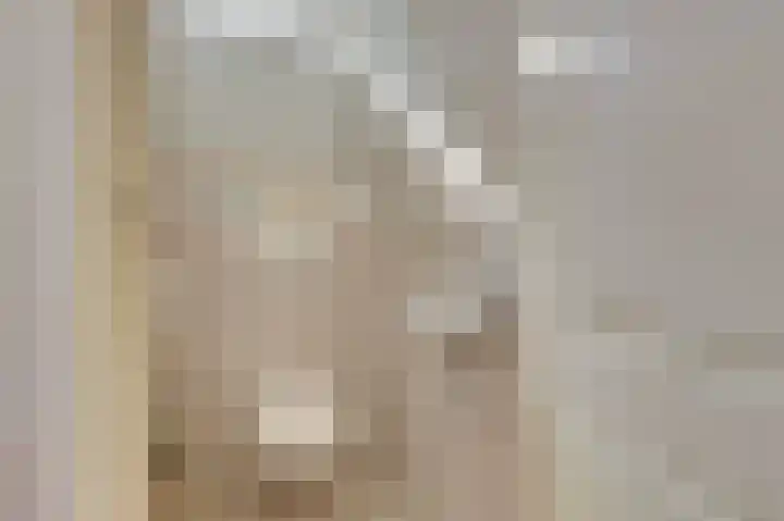 Cort van der Lindenstraat 41 Zutphen thumbnail 7