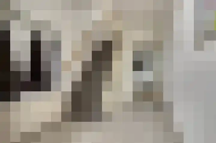 Cort van der Lindenstraat 41 Zutphen thumbnail 8