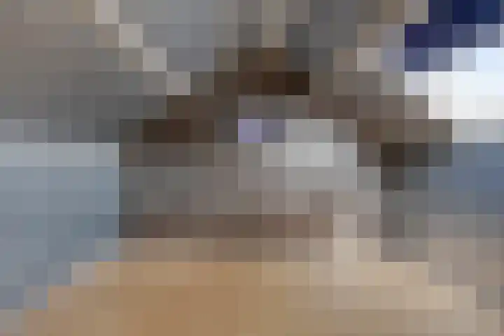 Cort van der Lindenstraat 42 Goes thumbnail 16