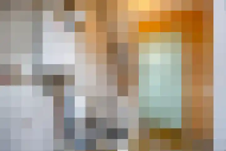 Cort van der Lindenstraat 42 Goes thumbnail 18