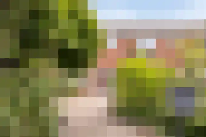 Cort van der Lindenstraat 42 Goes thumbnail 21