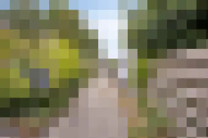 Cort van der Lindenstraat 42 Goes thumbnail 22