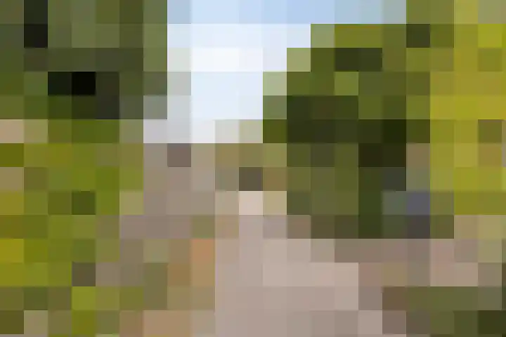 Cort van der Lindenstraat 42 Goes thumbnail 26