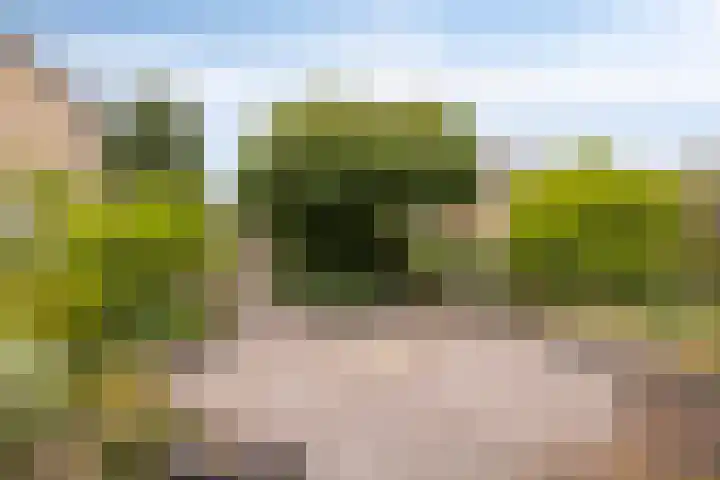 Cort van der Lindenstraat 42 Goes thumbnail 5