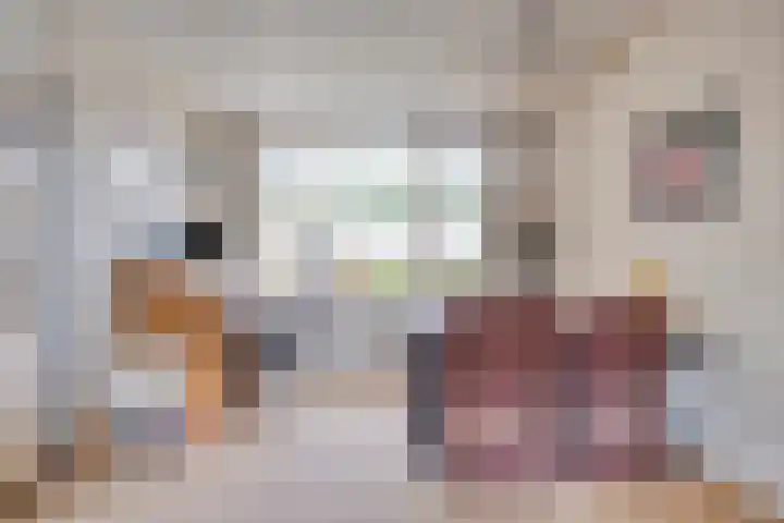 Cort van der Lindenstraat 42 Goes thumbnail 7