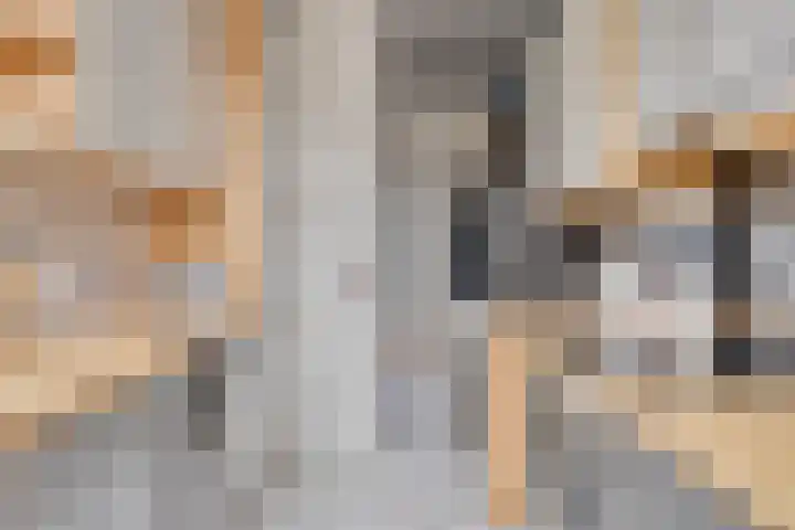 Cort van der Lindenstraat 42 Goes thumbnail 9