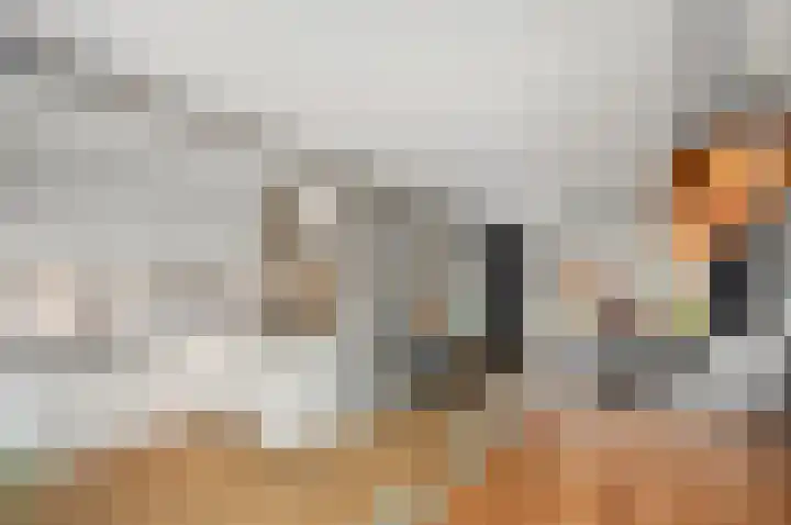 Cort van der Lindenstraat 44 Gouda thumbnail 11