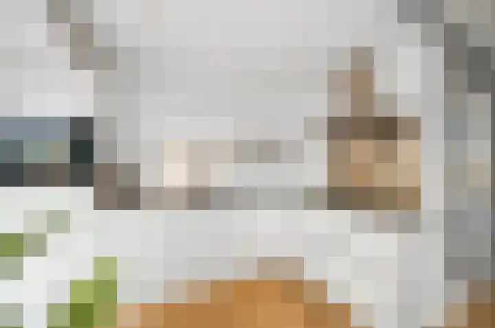 Cort van der Lindenstraat 44 Gouda thumbnail 12