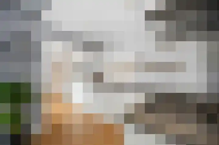 Cort van der Lindenstraat 44 Gouda thumbnail 13