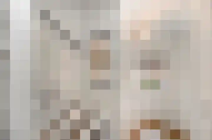 Cort van der Lindenstraat 44 Gouda thumbnail 16