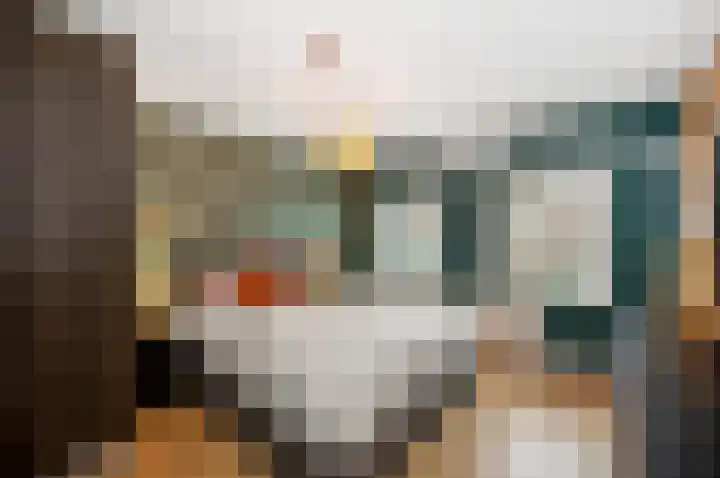 Cort van der Lindenstraat 44 Gouda thumbnail 17