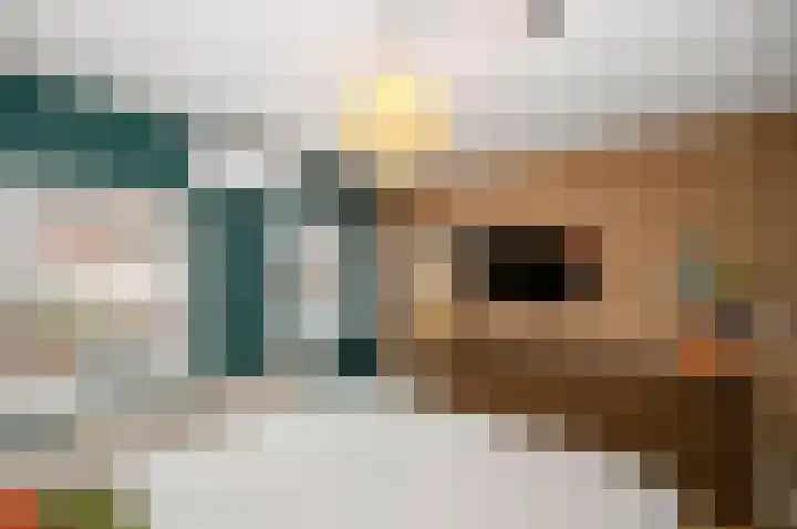 Cort van der Lindenstraat 44 Gouda thumbnail 19