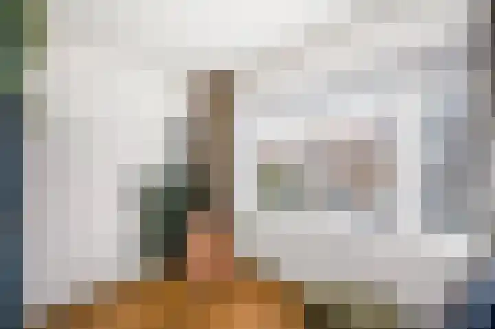 Cort van der Lindenstraat 44 Gouda thumbnail 20