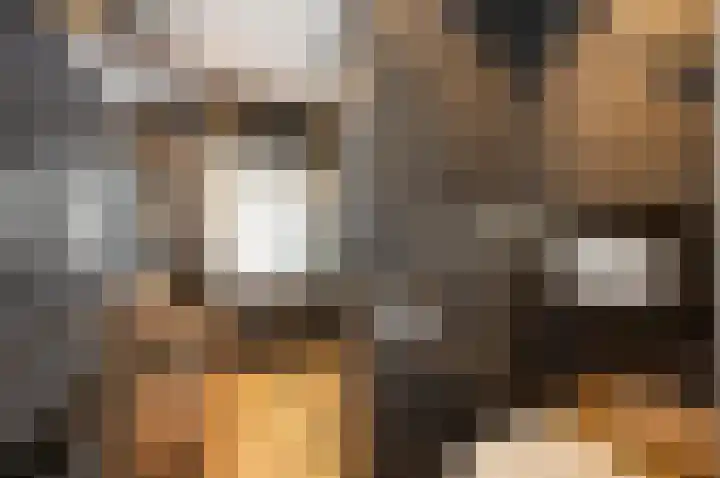 Cort van der Lindenstraat 44 Gouda thumbnail 22