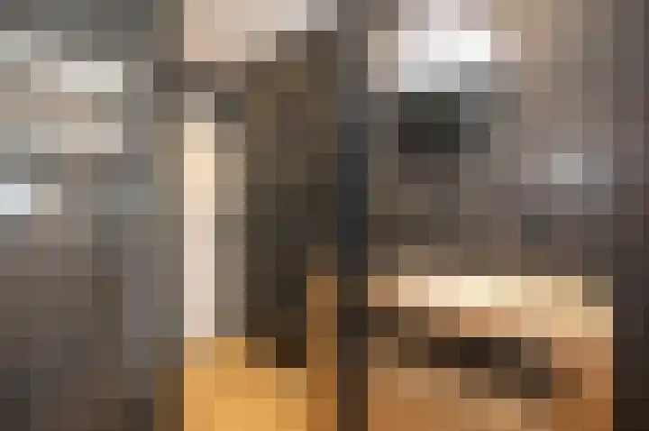 Cort van der Lindenstraat 44 Gouda thumbnail 23