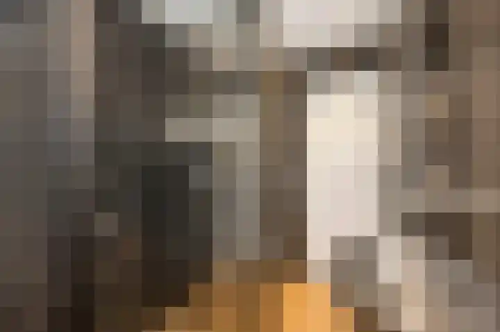 Cort van der Lindenstraat 44 Gouda thumbnail 24