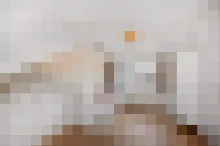 Cort van der Lindenstraat 44 Gouda thumbnail 27