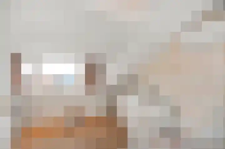 Cort van der Lindenstraat 44 Gouda thumbnail 28