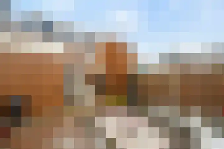 Cort van der Lindenstraat 44 Gouda thumbnail 32