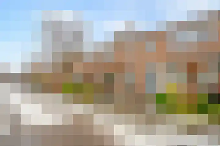 Cort van der Lindenstraat 44 Gouda thumbnail 33