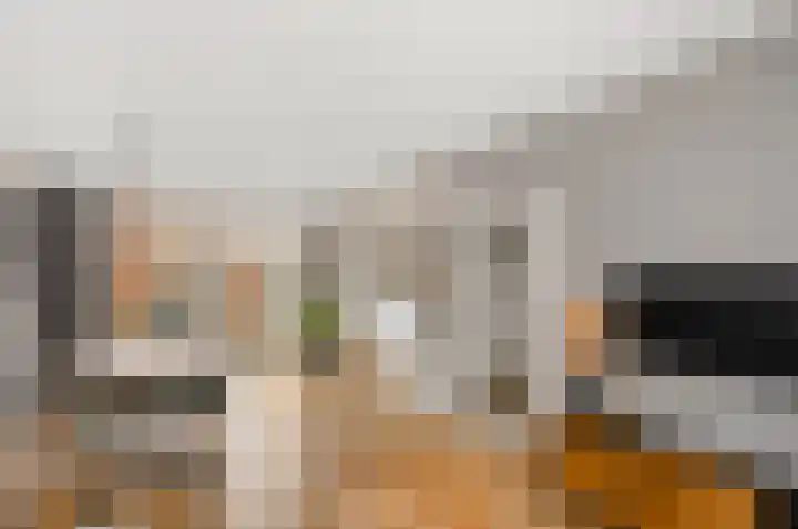 Cort van der Lindenstraat 44 Gouda thumbnail 4