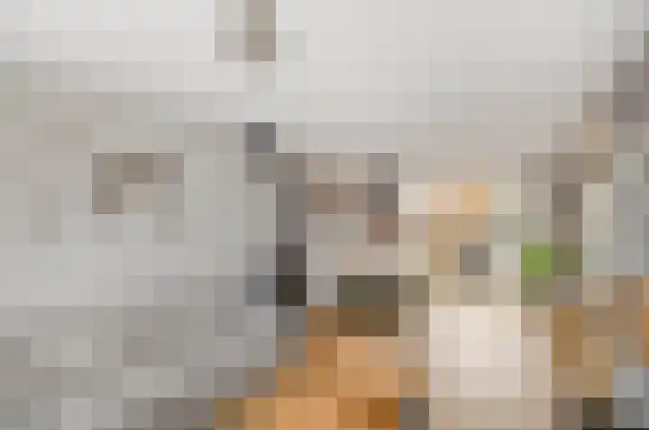 Cort van der Lindenstraat 44 Gouda thumbnail 5