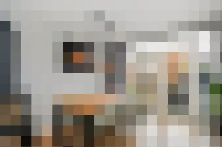 Cort van der Lindenstraat 44 Gouda thumbnail 8