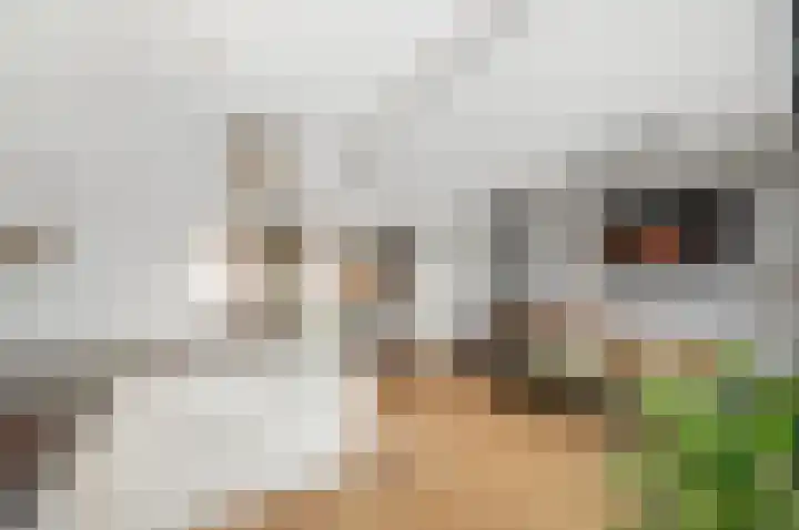 Cort van der Lindenstraat 44 Gouda thumbnail 9