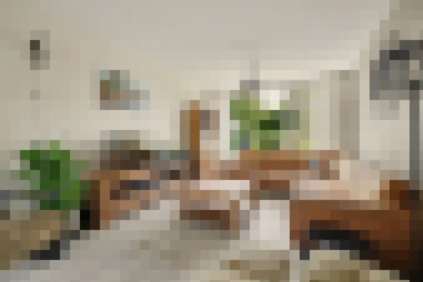 Cort van der Lindenstraat 46 Goes thumbnail 10