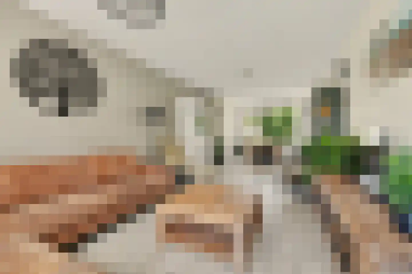 Cort van der Lindenstraat 46 Goes thumbnail 13