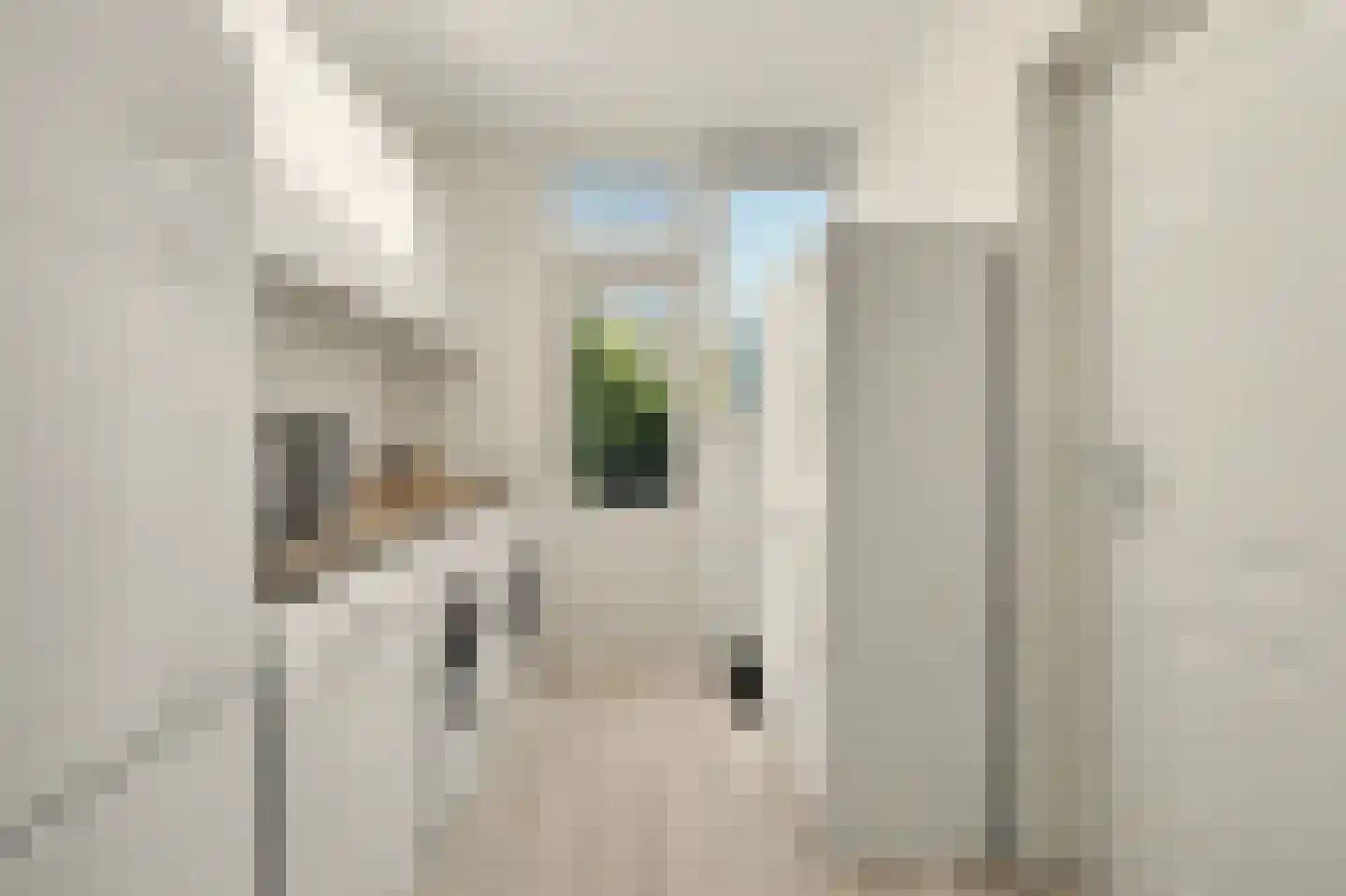 Cort van der Lindenstraat 46 Goes thumbnail 23