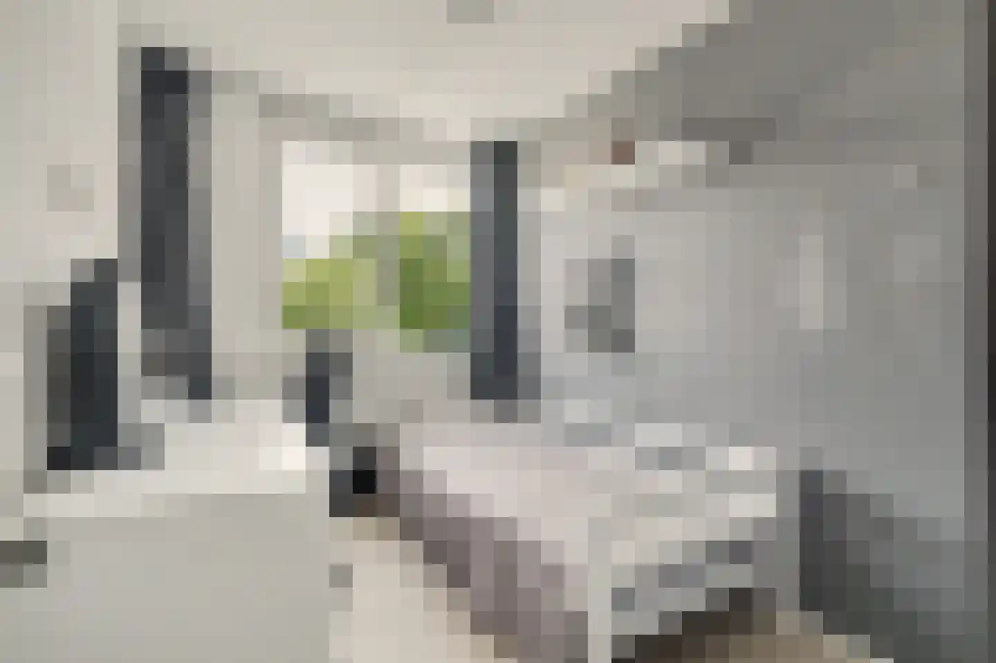Cort van der Lindenstraat 46 Goes thumbnail 27