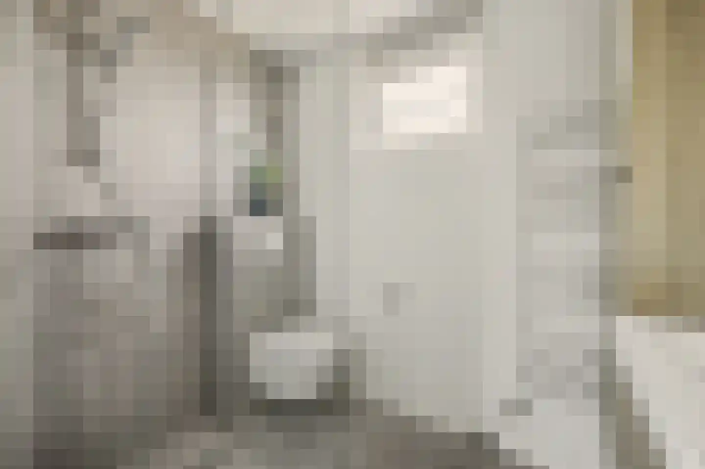 Cort van der Lindenstraat 46 Goes thumbnail 31