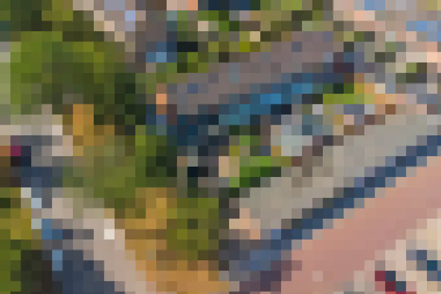 Cort van der Lindenstraat 46 Goes thumbnail 45