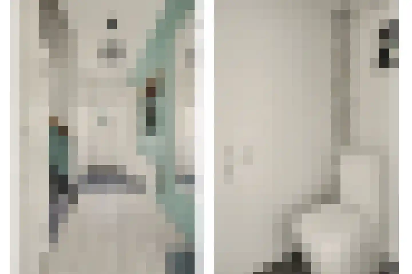 Cort van der Lindenstraat 46 Goes thumbnail 8