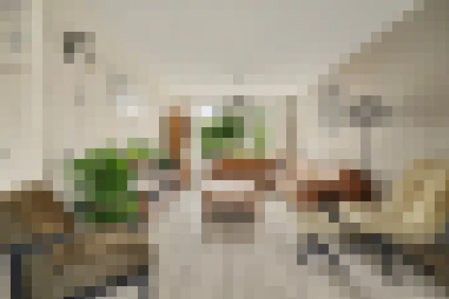 Cort van der Lindenstraat 46 Goes thumbnail 9