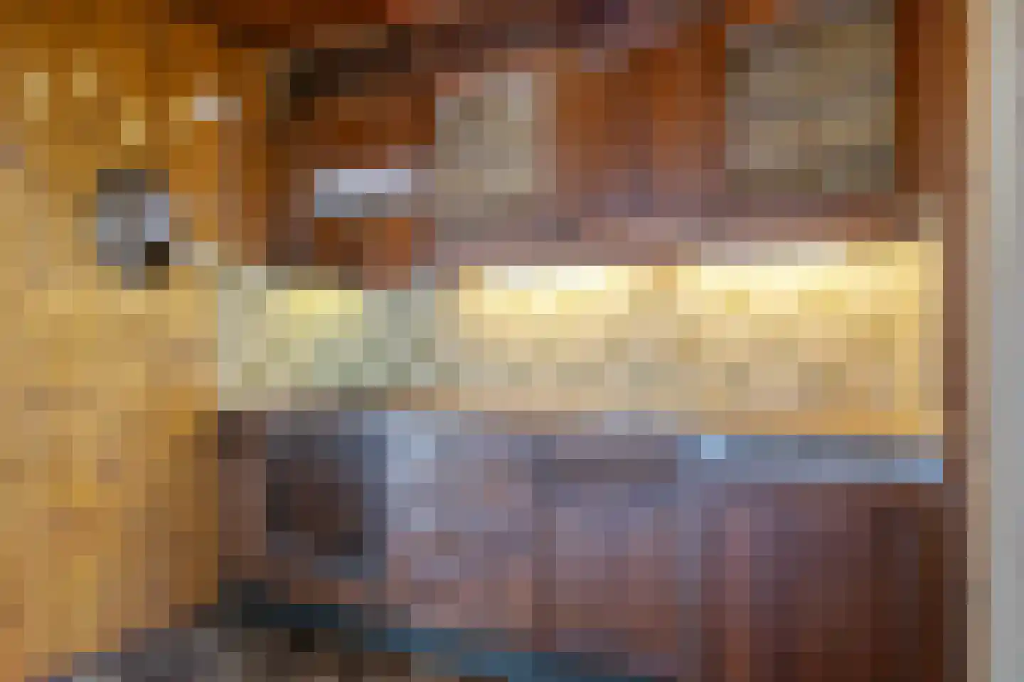 Cort van der Lindenstraat 47 Gouda thumbnail 13