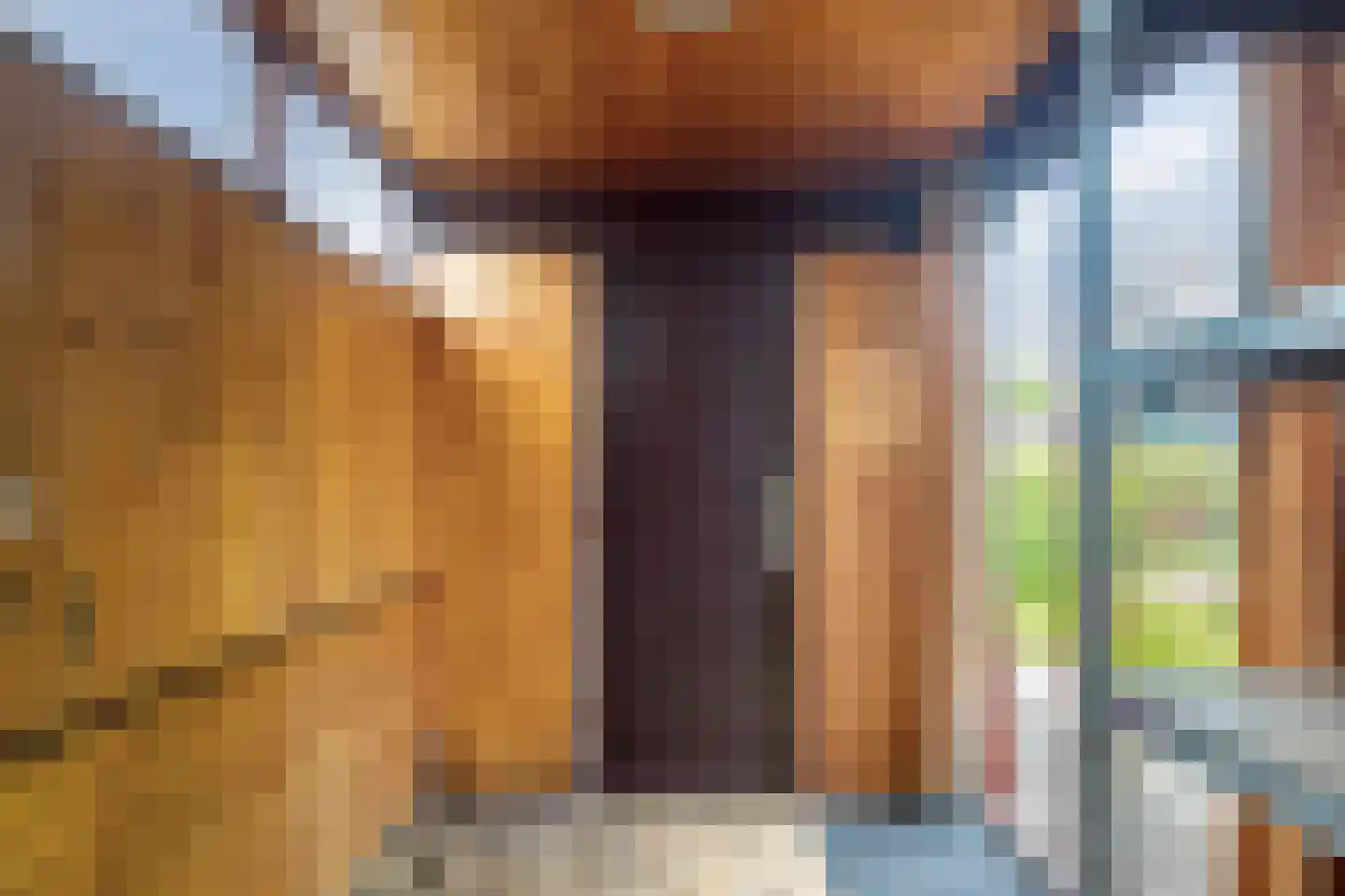 Cort van der Lindenstraat 47 Gouda thumbnail 16