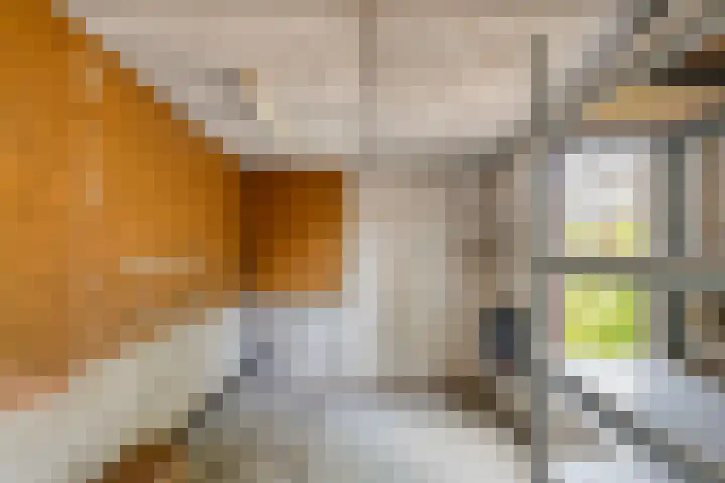 Cort van der Lindenstraat 47 Gouda thumbnail 17