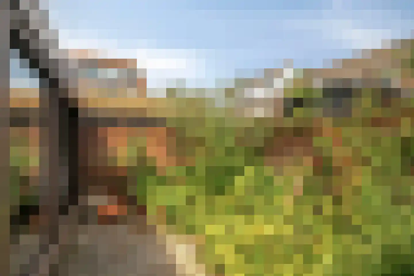Cort van der Lindenstraat 47 Gouda thumbnail 18